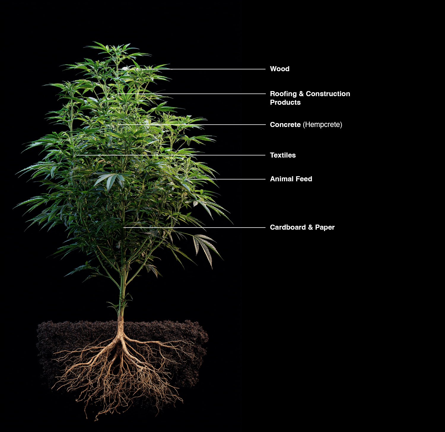 Hemp plant parts